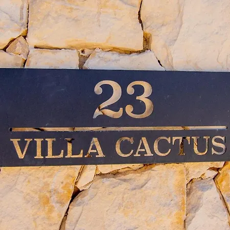 Cactus * 卡武埃鲁